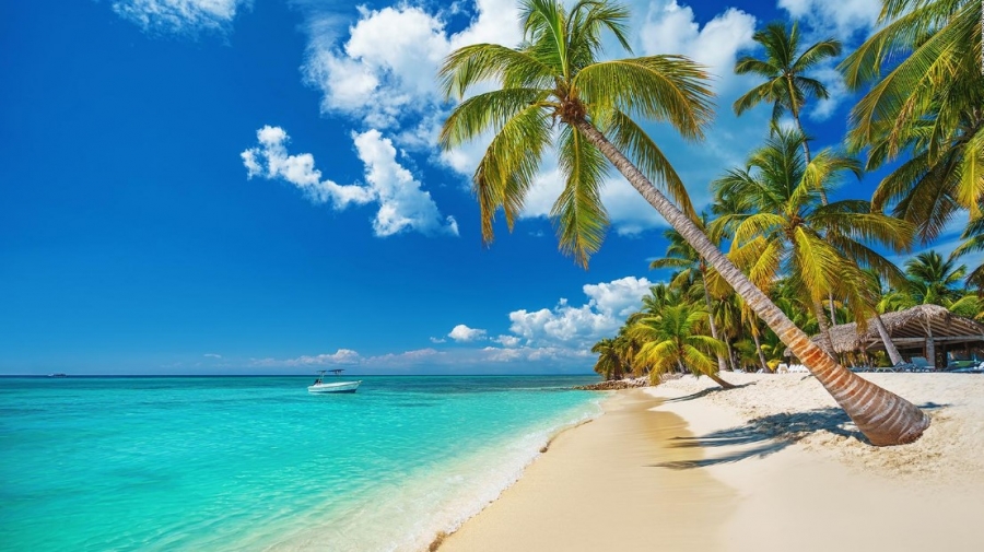R.DOMINICANA- Punta Cana R.DOMINICANA- Punta Cana
