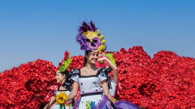 MADEIRA- Funchal- Festa da Flor