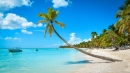 R.DOMINICANA- Punta Cana
